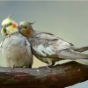 2_p-romantic-pictures-015.jpg